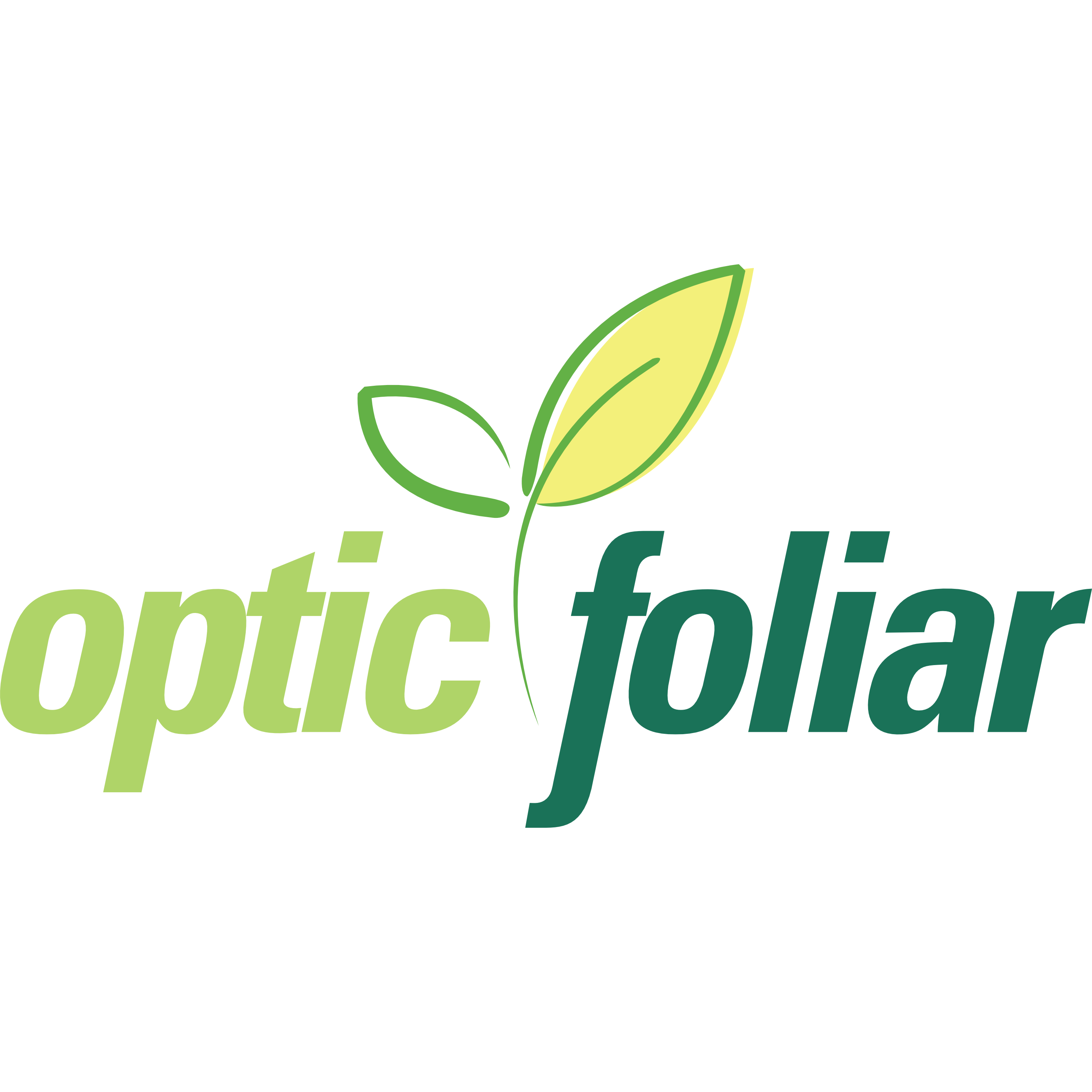 Optic Foliar